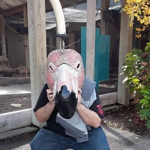 Meet your Posher, Chris